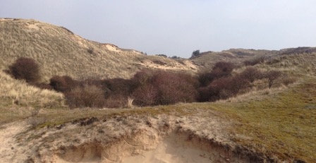 20150324 De Bleek IMG2054