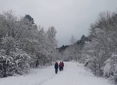 20171112 Sneeuwbikkel 3