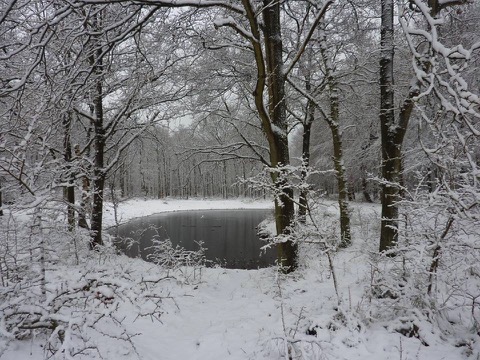 20171212 Sneeuw poel door Joke