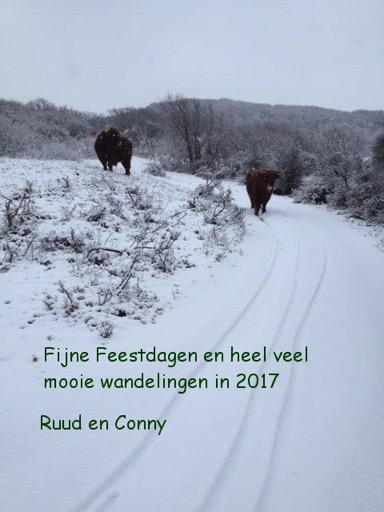 Kerstwens 2016 Conny en Ruud