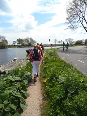 Wandeling 20150508 foto 9561