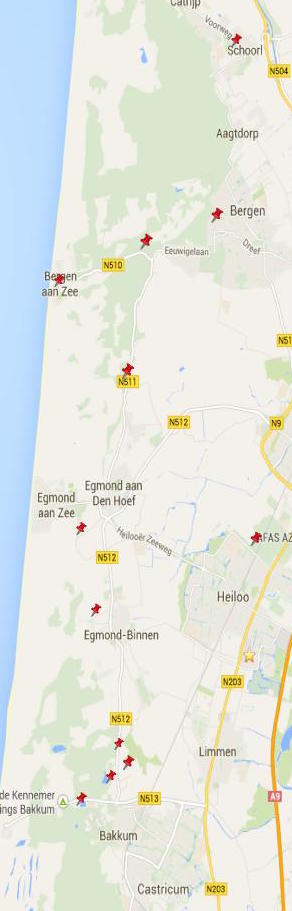 Kuststrook met pins